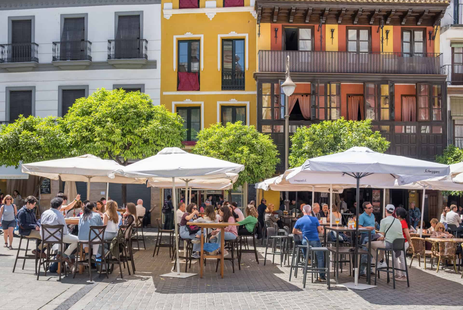 ou manger a seville andalousie