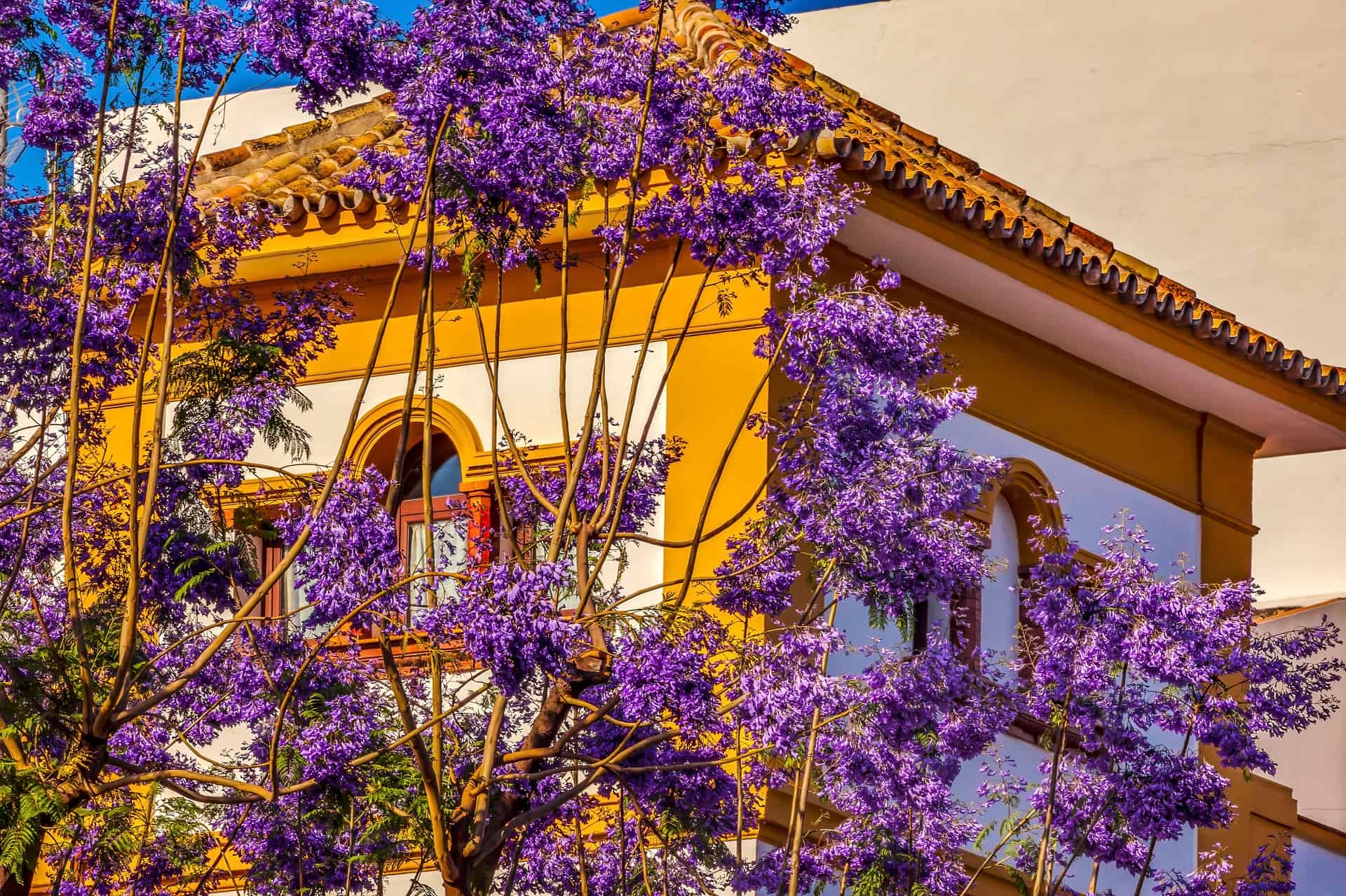 seville printemps