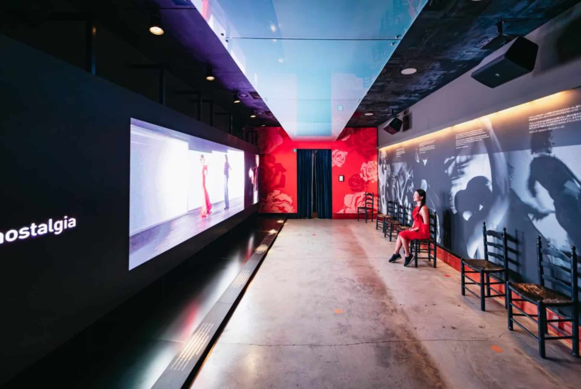 musee flamenco seville musee flamenco seville