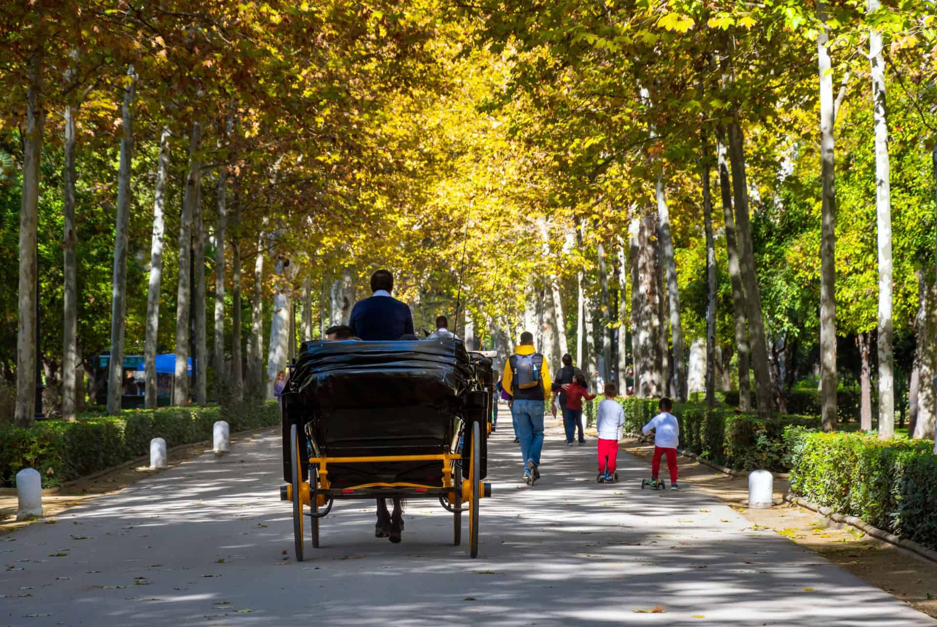 seville en automne seville en automne