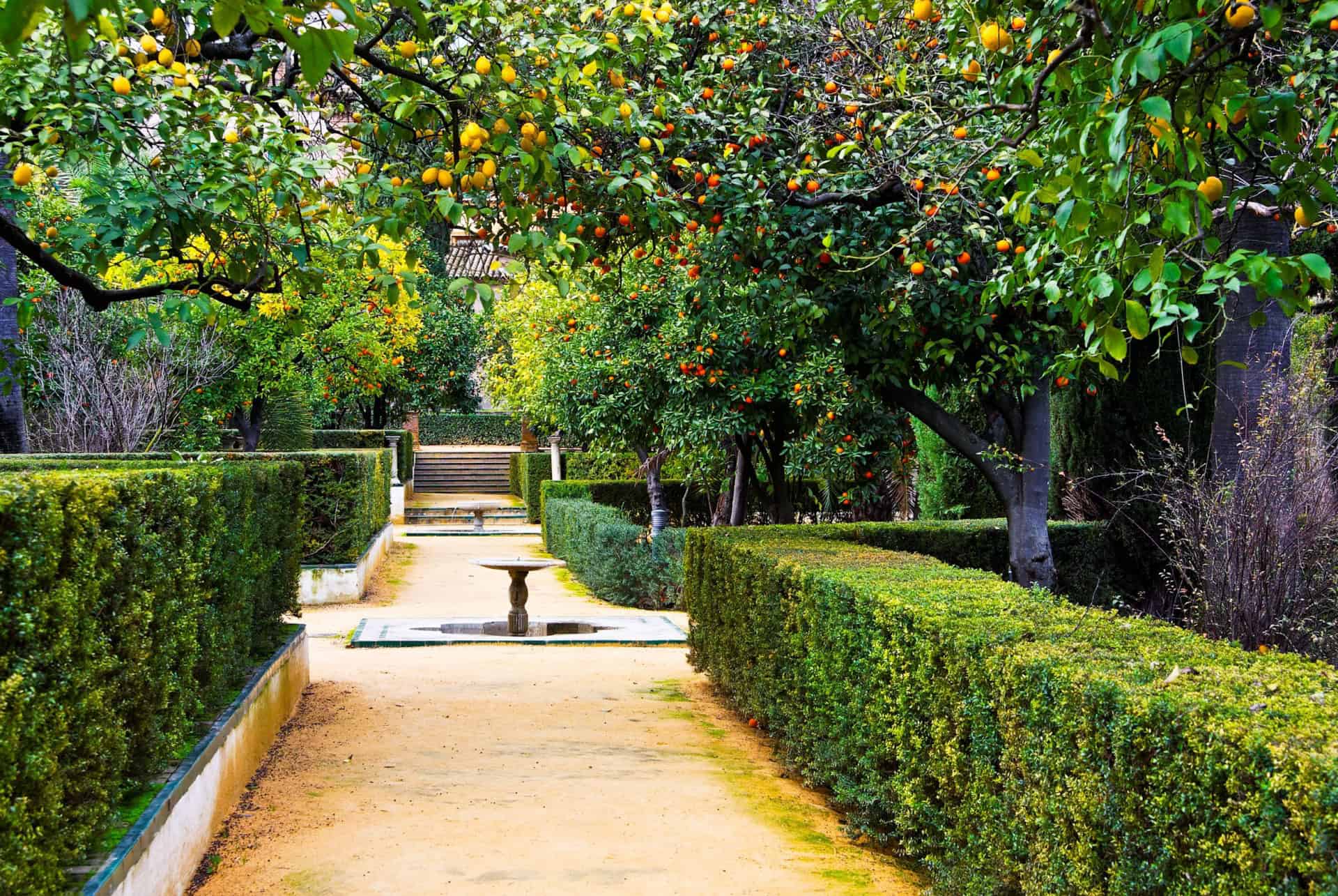 jardins real alcazar seville jardins real alcazar seville
