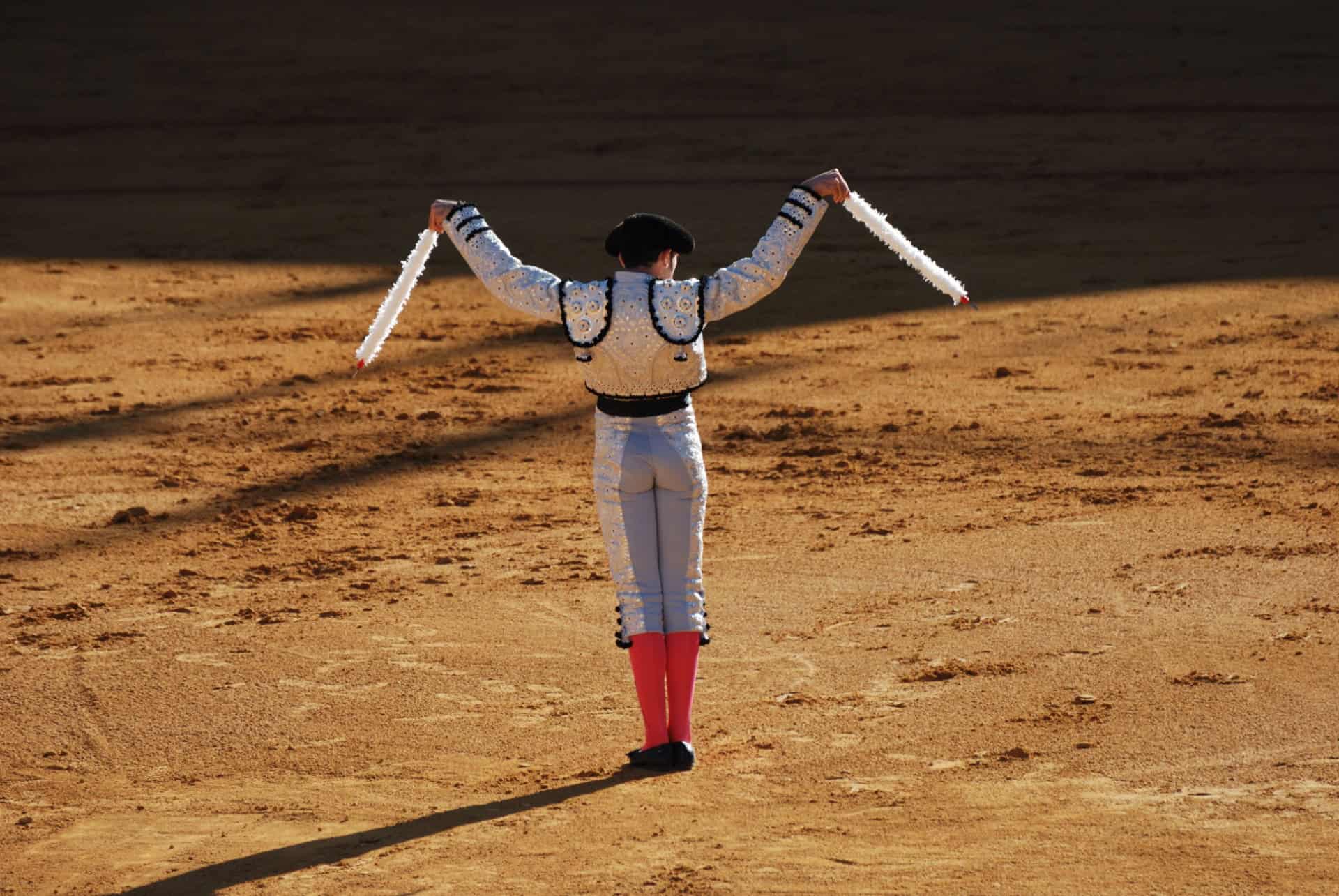 corrida arenes de seville corrida arenes de seville