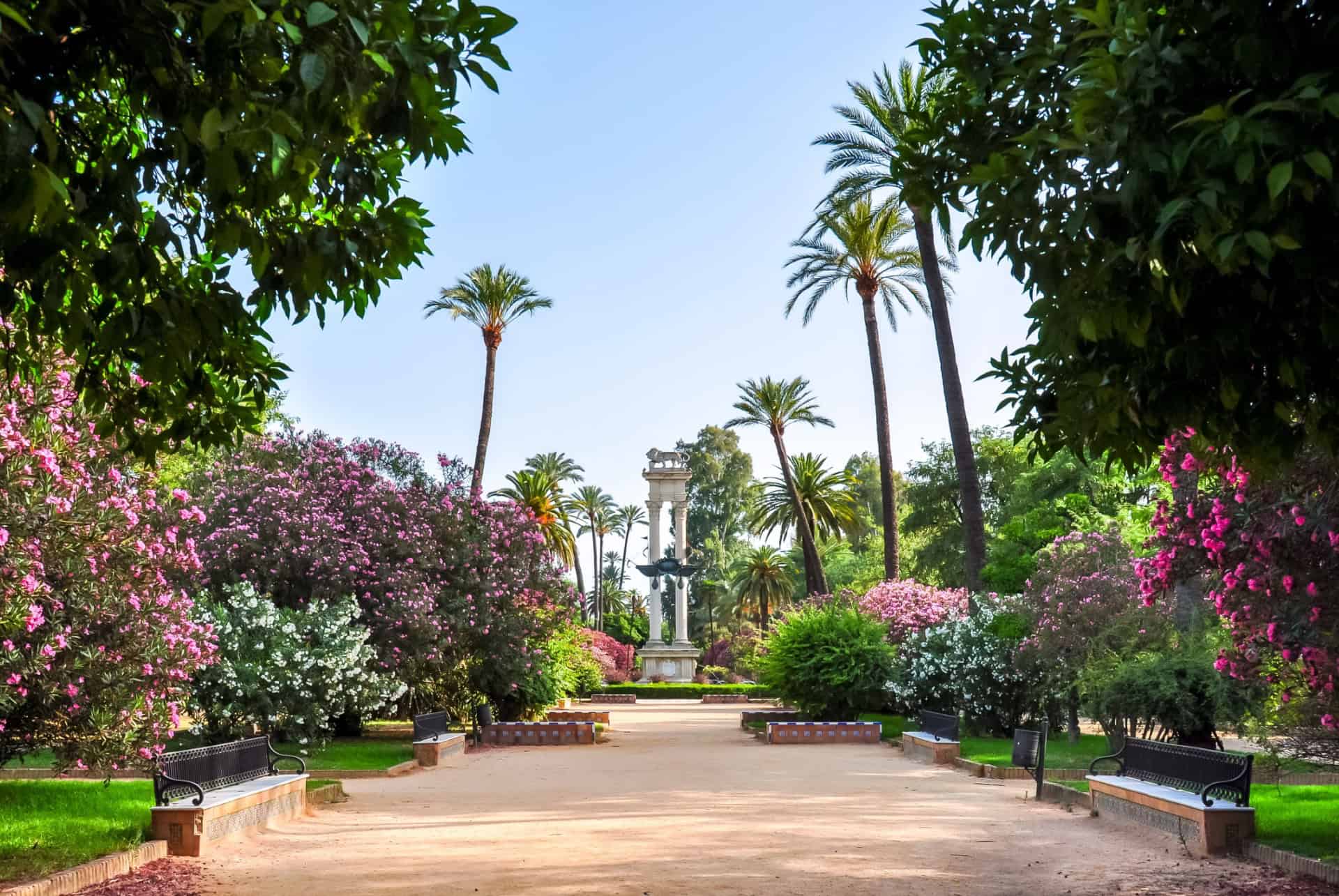 parc maria luisa seville en mai parc maria luisa seville en mai