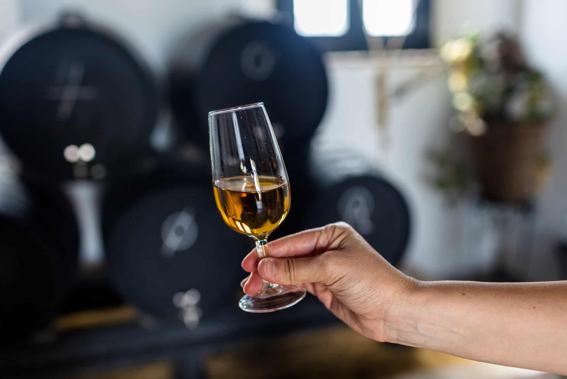 vin de jerez vin de jerez
