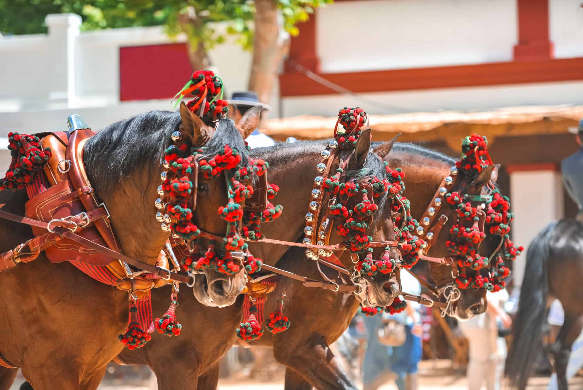 chevaux andalous jerez visiter jerez de la frontera depuis séville chevaux andalous jerez