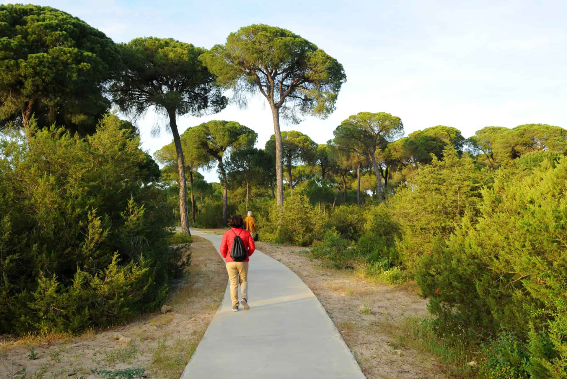 sanlucar de barrameda cadix