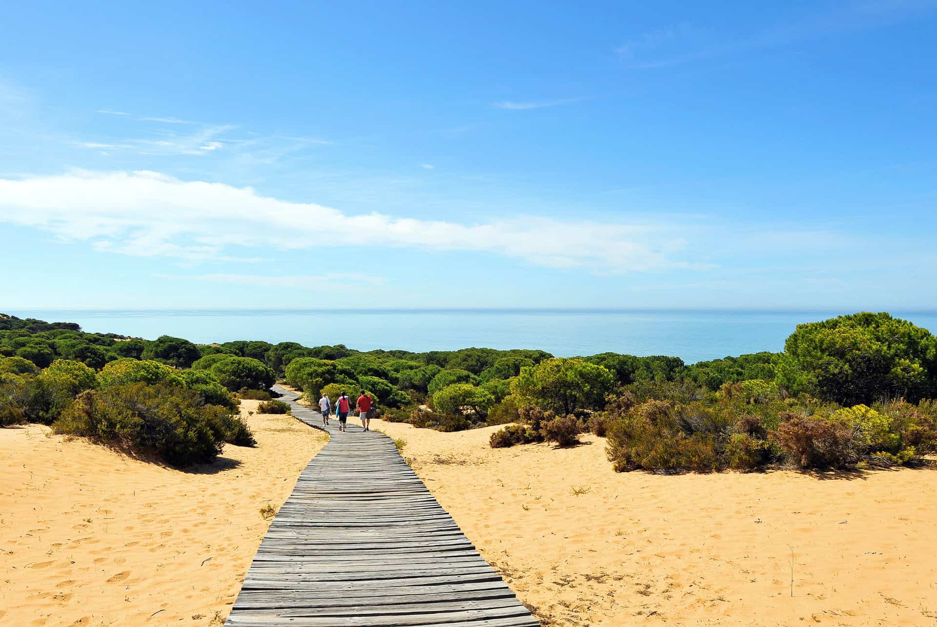 sentier randonnee parc naturel de donana